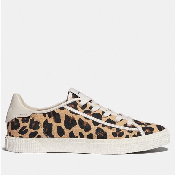 NWT!💖 Coach Leopard Print Sneaker - Picture 3 of 3
